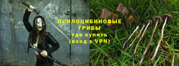 apvp Алзамай