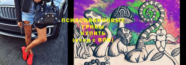 apvp Алзамай